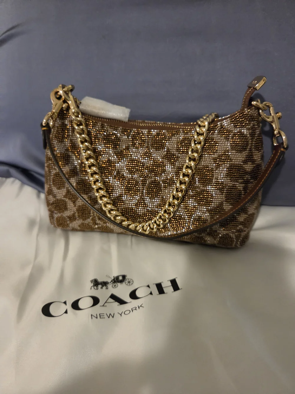 Coach Teri Brown Signature Crystal Embellished Shoulder Bag